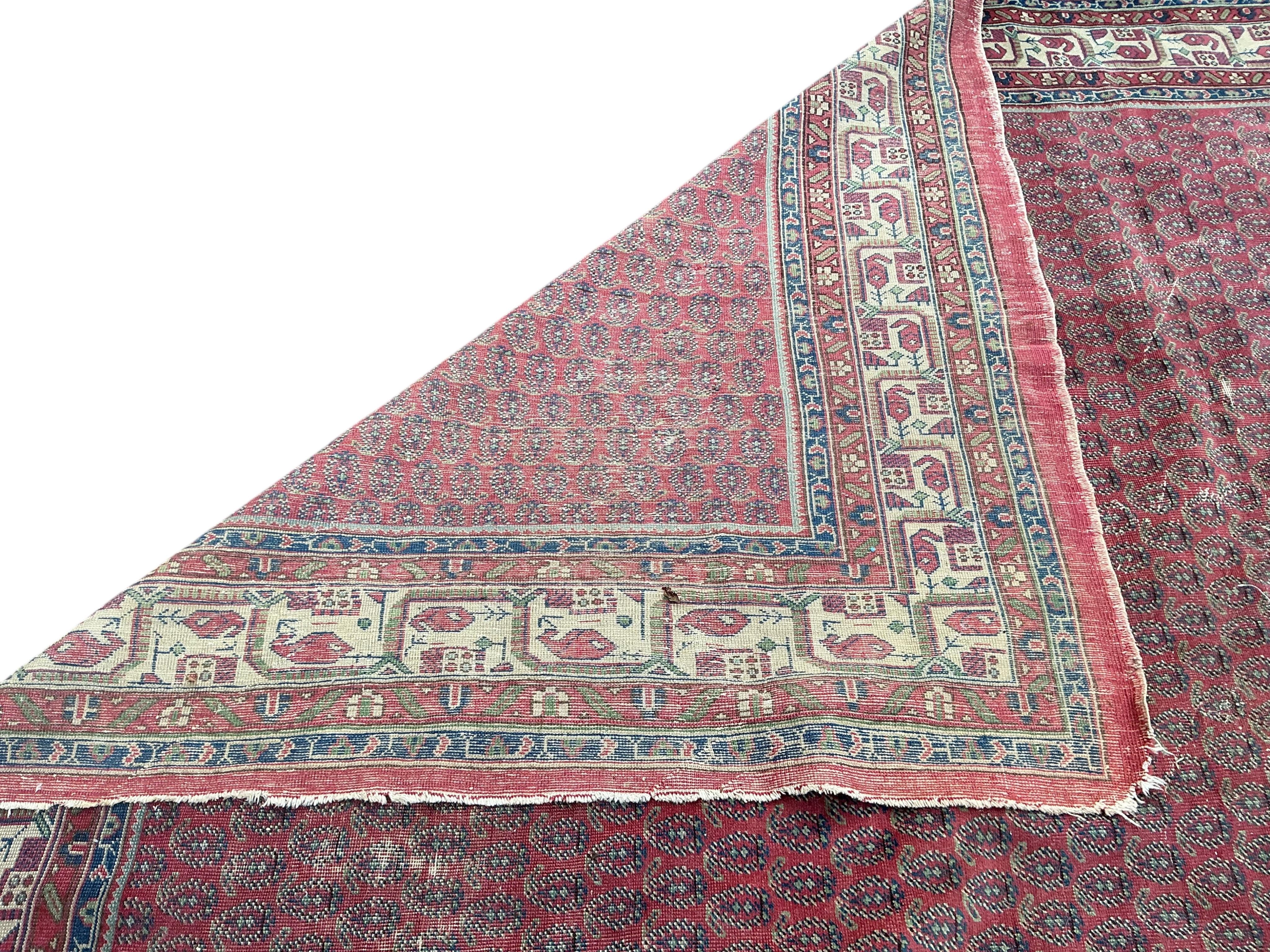 A North West Persian brick red ground Boteh carpet, 355 x 265cm